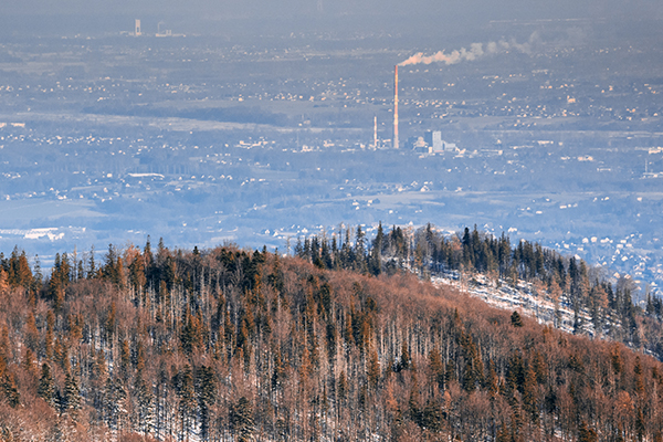 Carbon Valley
